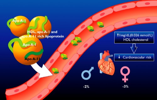 Cholesterol , Triglyceride là gì?  Tại sao lại quan trọng với chúng ta ?